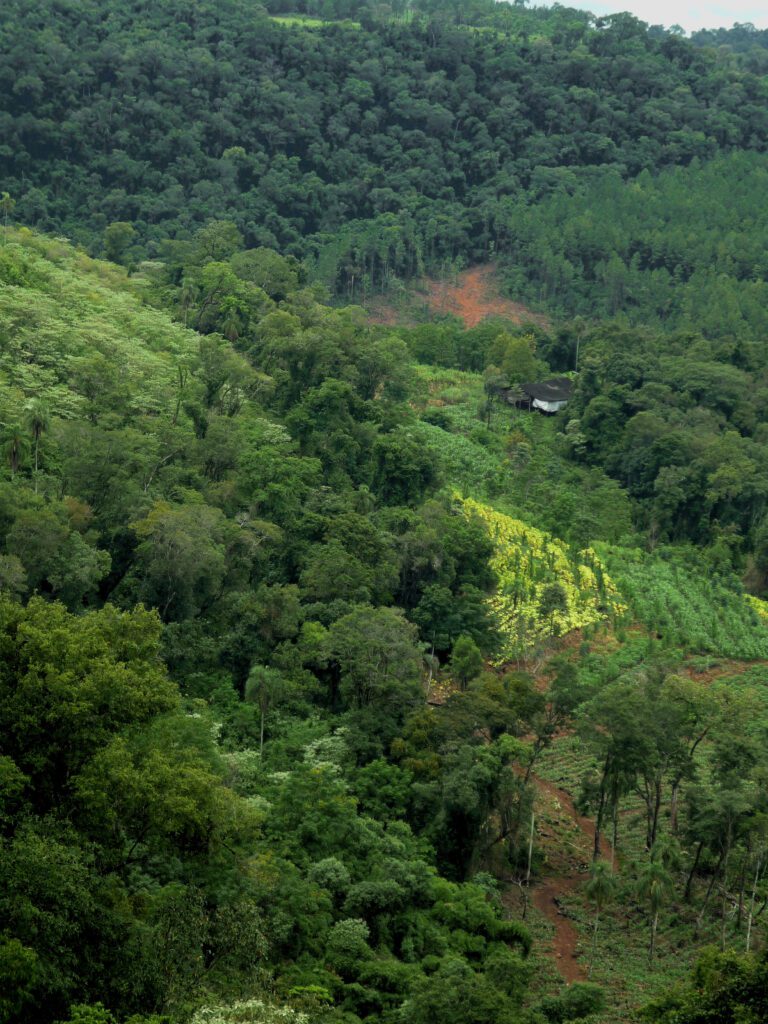 Misiones_paisaje